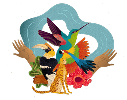 Logo 3 Bassins