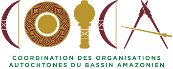 Logo Bassin Amazonien